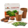 Burpee Culinary Herb Seed Starter Kit – Complete Indoor Herb Growing Kit with 5 Herb Varieties