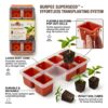 Burpee SuperSeed™ 8-Cell Pop-Out Windowsill Seed Starting Tray