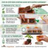 Burpee SuperSeed™ 8-Cell Pop-Out Windowsill Seed Starting Tray